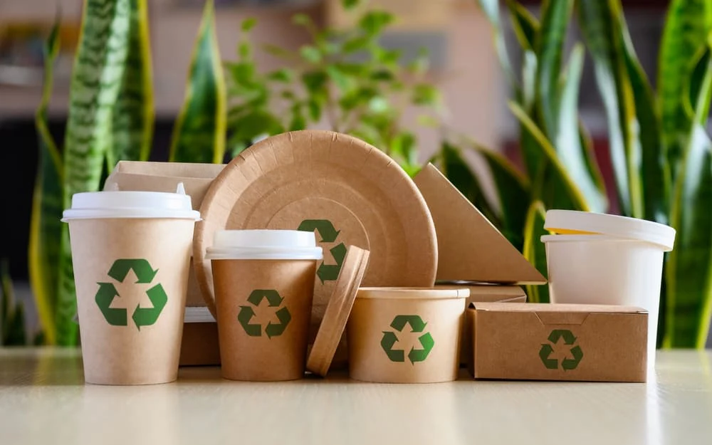 Biodegradable packaging options